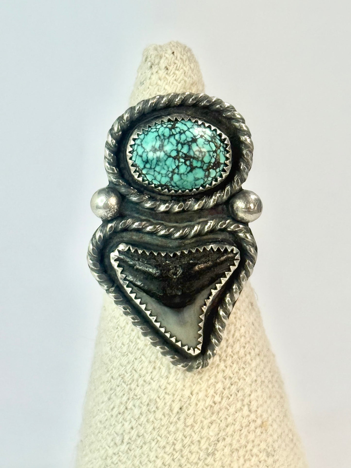 Large Bull Shark Tooth & Turquoise Ring - Size 7