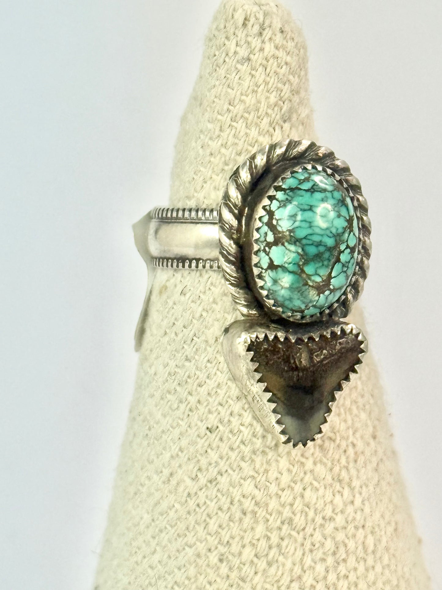 Small Bull Shark Tooth & Turquoise Ring - Size 7