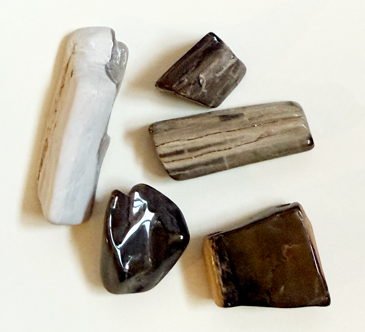 Polished Petrified Wood - 5pcs