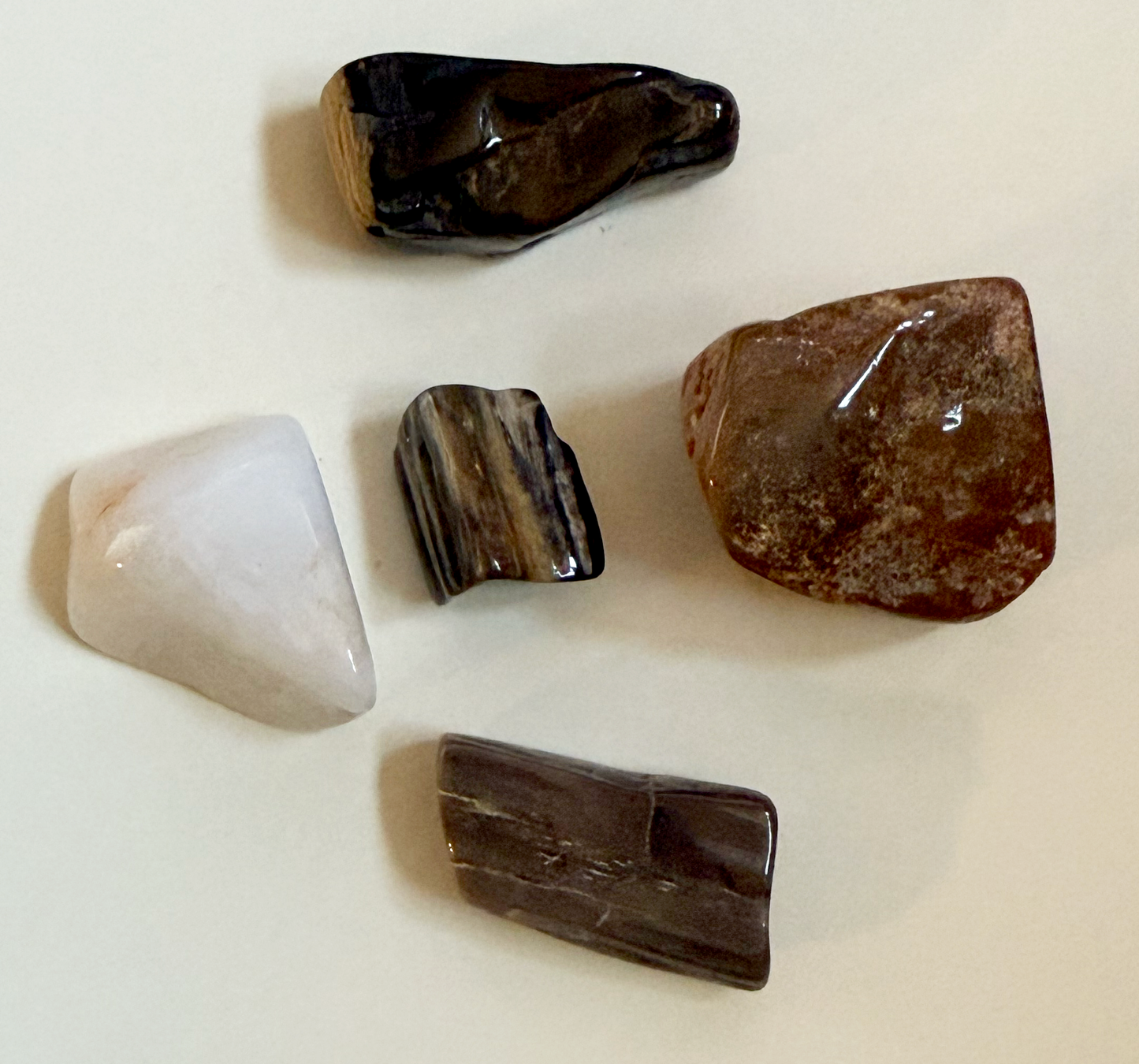 Polished Petrified Wood - 5pcs