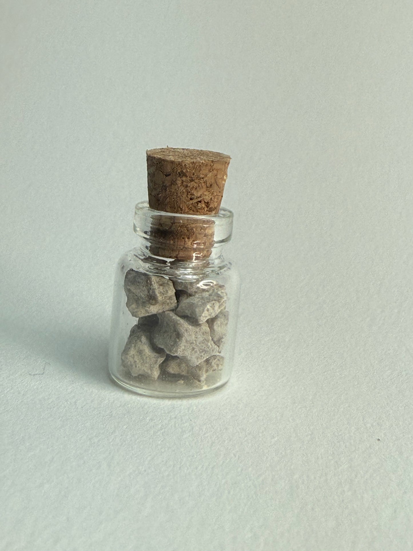 Small Bottle of Crinoid Stem Fossils